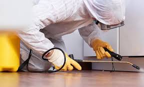 Best Real Estate Pest Inspections  in Roland, AR